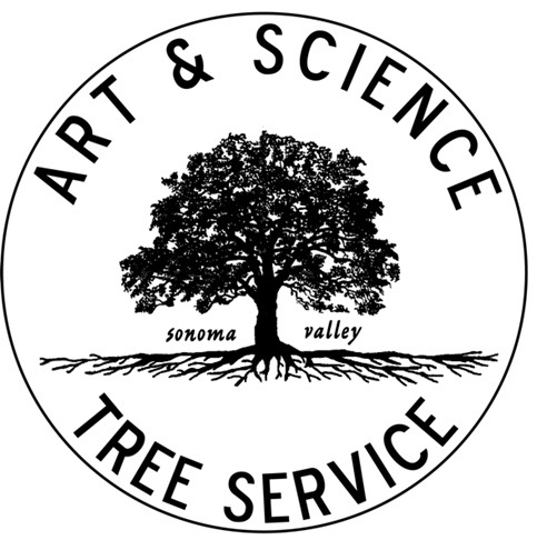 Art & Science Tree 
